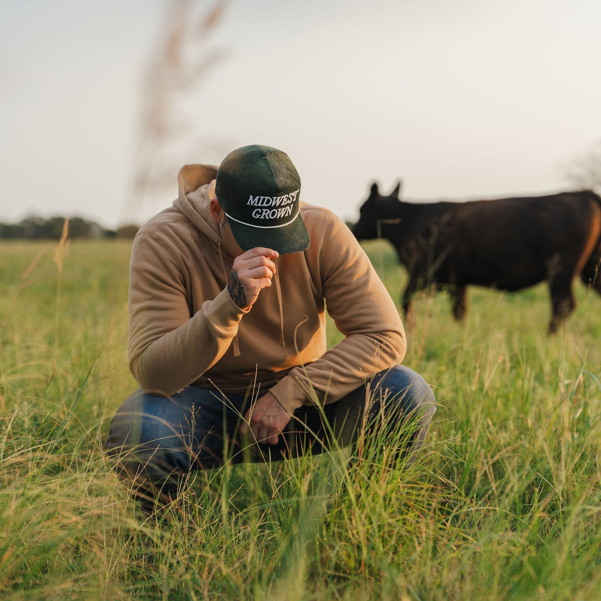 Man in a field with cows wearing a 'Midwest Grown' cap.
